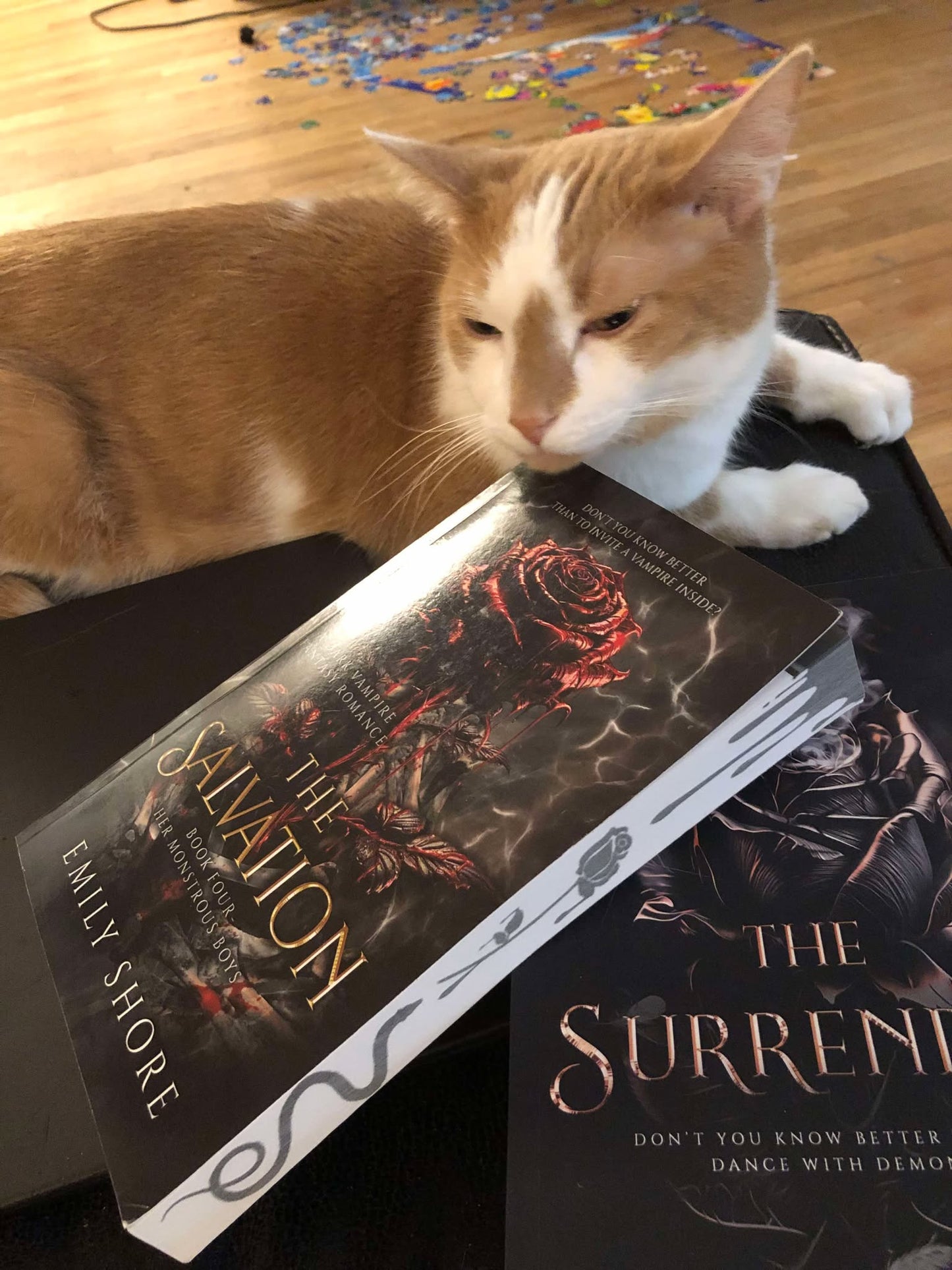 SALE- HER MONSTROUS BOYS 1-4 SPECIAL EDITIONS