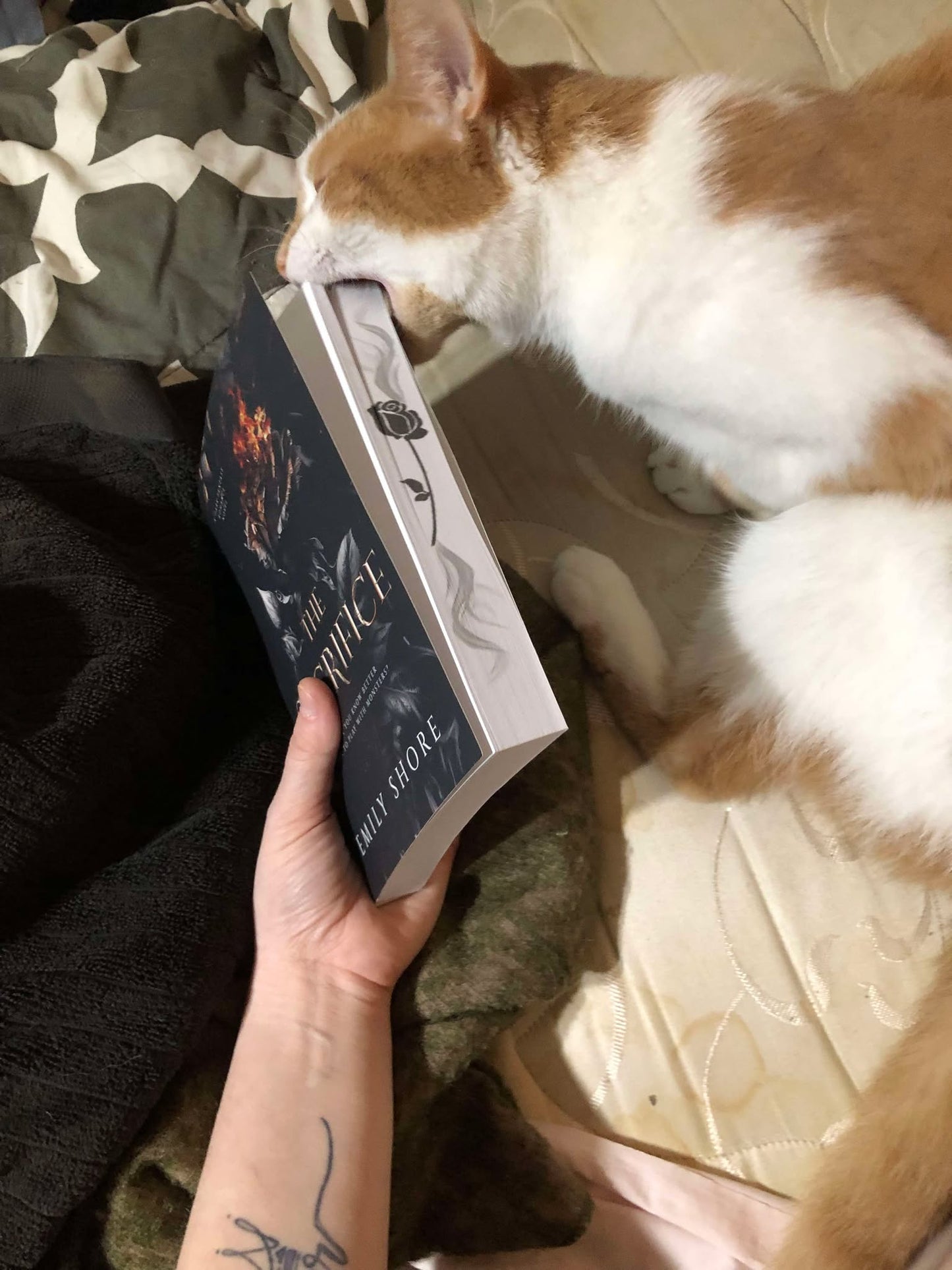 THE SACRIFICE OLD SPECIAL EDITION