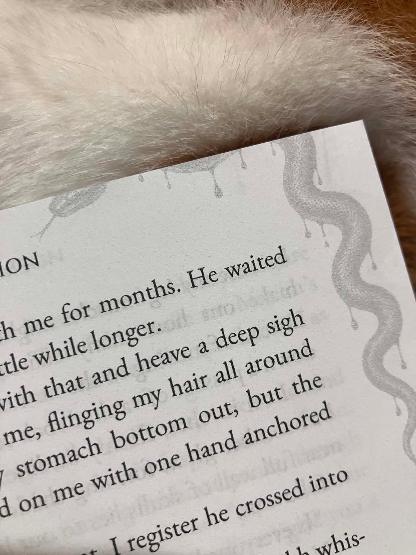 BIG NEW SALE- HER MONSTROUS BOYS 1-5 SPECIAL EDITIONS