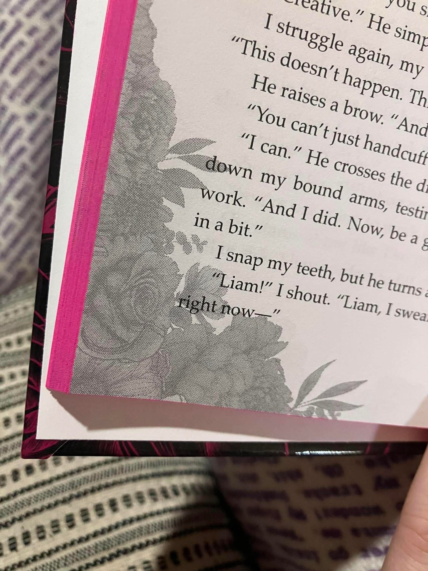 When I Accidentally Kidnapped the Mafia Boss (Special Edition Hardcover)