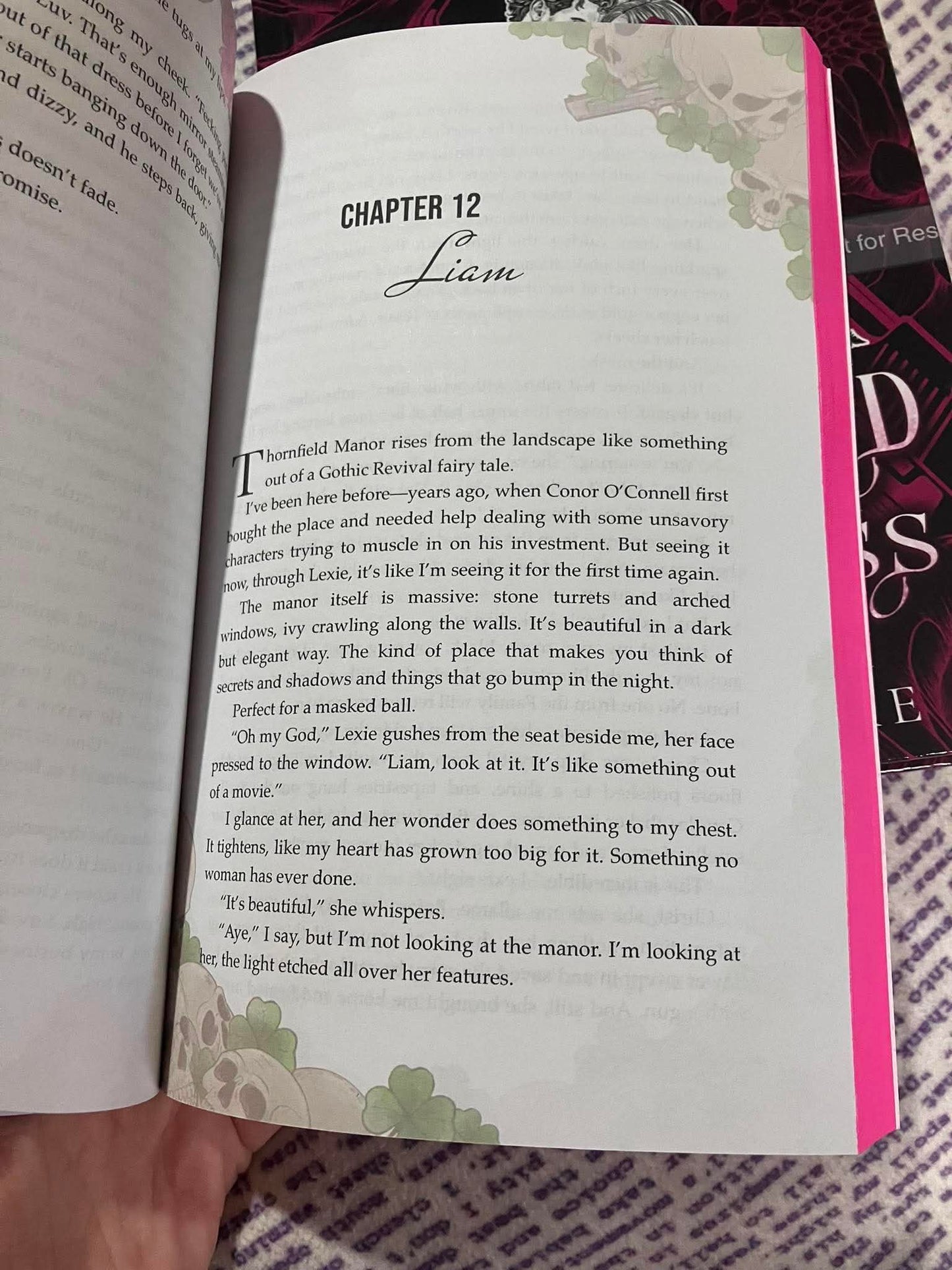 When I Accidentally Kidnapped the Mafia Boss (Special Edition Paperback)
