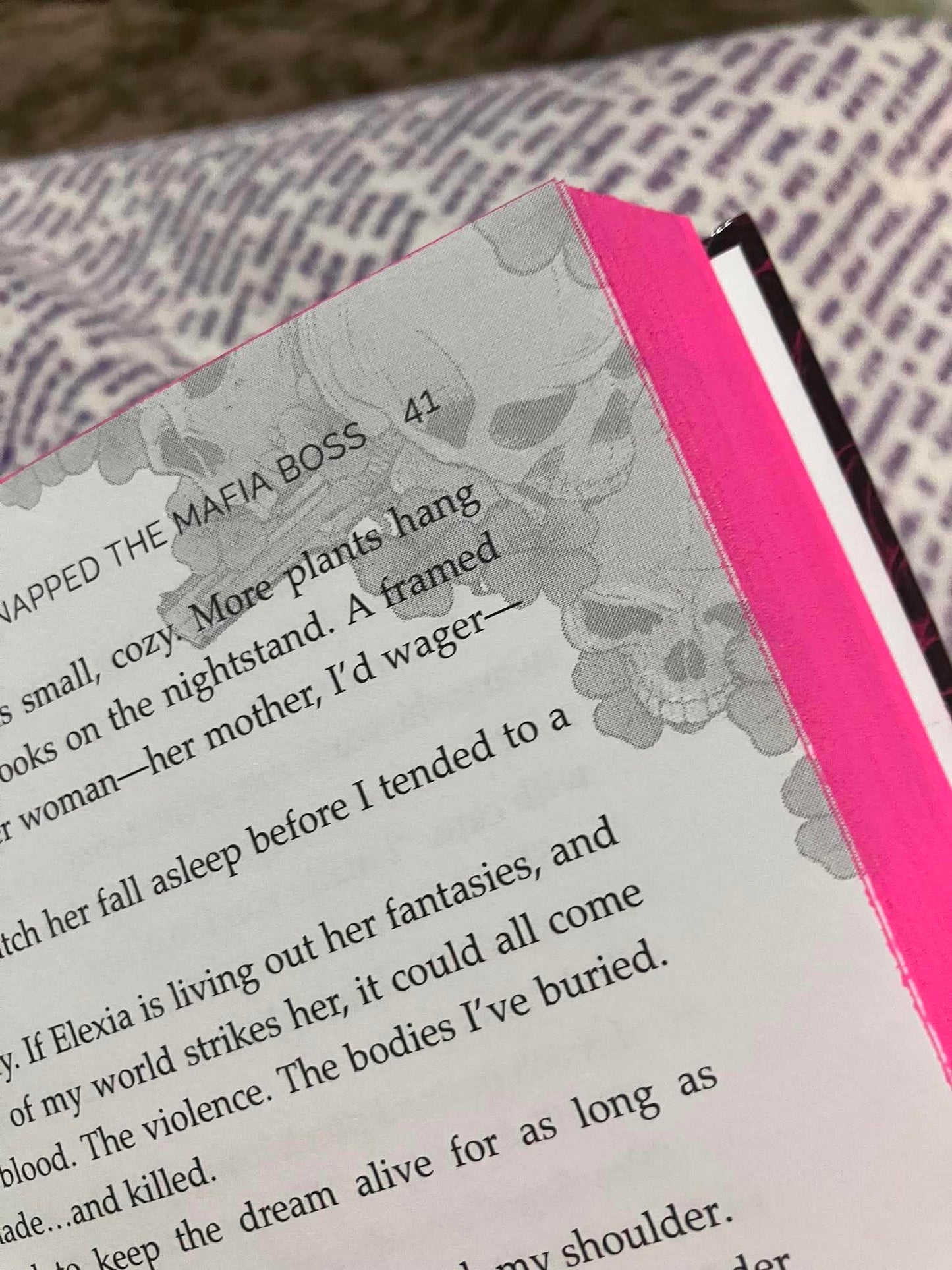 When I Accidentally Kidnapped the Mafia Boss (Special Edition Hardcover)